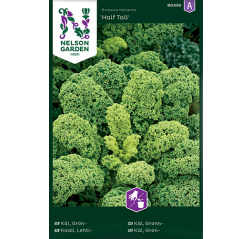 Brassica oleracea 'Half Tall'-thumbnail