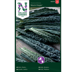 Brassica oleracea 'Black Magic'-thumbnail