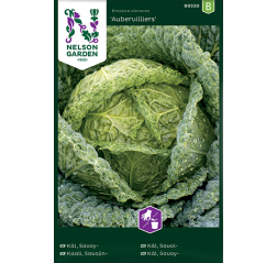 Brassica oleracea 'Aubervilliers'-thumbnail