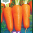 Porkkana 'Flakkee 2'-thumbnail