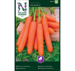 Porkkana 'Nantaise 2'-thumbnail