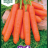 Porkkana 'Nantaise 2', Big Pack-thumbnail