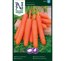 Porkkana 'Nantaise 2', kylvönauha-thumbnail