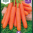 Porkkana 'Nantaise 2', pellets-thumbnail