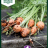 Porkkana 'Pariser Markt 5'-thumbnail