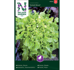 Lettuce 'Salad Bowl'-thumbnail