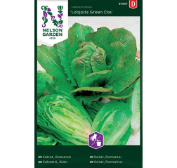Lettuce 'Lobjoits Green Cos'-thumbnail