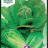 Lettuce 'Lobjoits Green Cos'-thumbnail