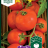 Tomaatti, Pensas- 'Balkonzauber'-thumbnail