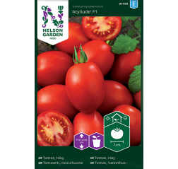 Tomaatti, Kasvihuone-, 'Olivade'/'Atyliade' F1-thumbnail