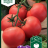 Tomaatti, Kasvihuone- Sparta F1-thumbnail