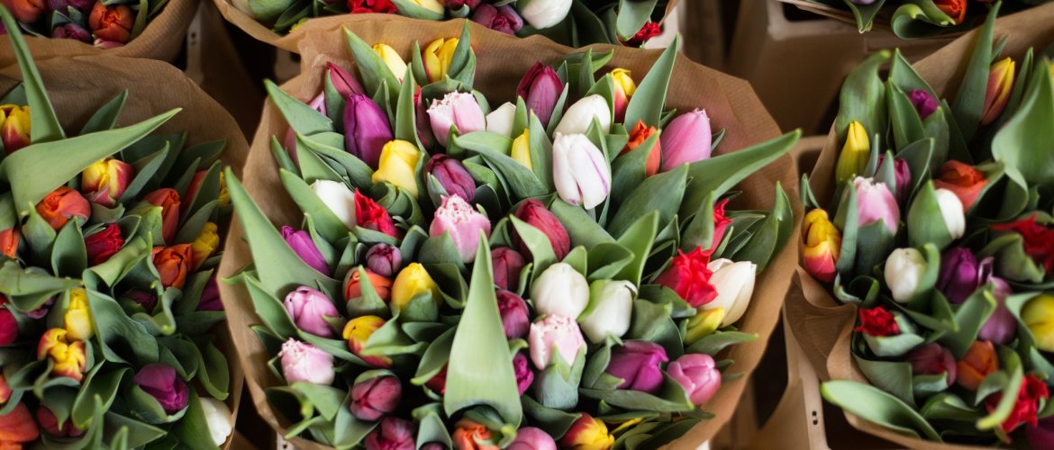 Keväinen valikoimamme täydentyy-thumbnail