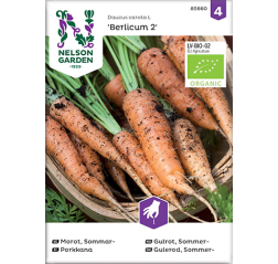 Porkkana 'Berlicum 2', luomu-thumbnail