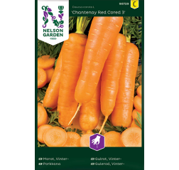 Porkkana 'Chantenay Red Cored 3'-thumbnail