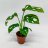 Monstera Monkey Mask about 18 cm-thumbnail