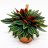 Peperomia caperata Rosso about 13 cm-thumbnail