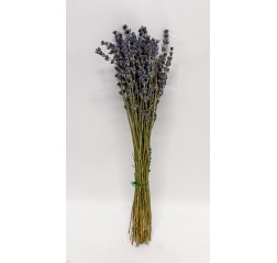 Kuivattu laventeli-thumbnail
