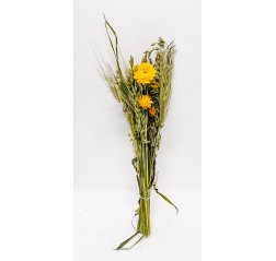 Yellowish and grainy bunch of dried flowers-thumbnail