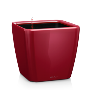 Lechuza Quadro 43 scarlet red T_PRODUCT_IMAGE