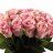 Bouquet of pink roses-thumbnail