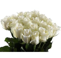 Bouquet of white roses-thumbnail