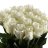 Bouquet of white roses-thumbnail