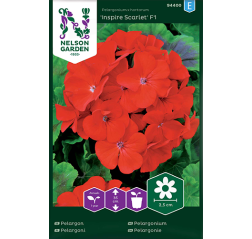 Pelargonium 'Inspire Scarlet F1'-thumbnail