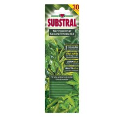 Substral fertiliser sticks for green plants 30 pcs-thumbnail