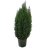 Cypress about 100 cm 2 pcs-thumbnail