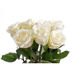 Rose bouquet white Premium-thumbnail