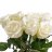 Rose bouquet white Premium-thumbnail