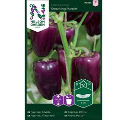 Paprika, Vihannes-, 'Snacking Purple'-thumbnail